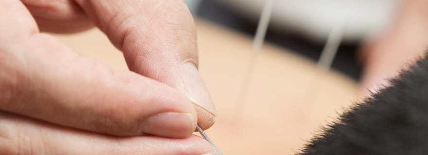 Hong Kong : expérience de médecine traditionnelle chinoise (90 min)