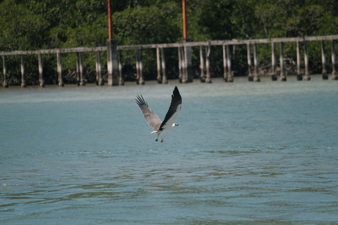Visite privative de 4 heures en jet ski suralimenté à Langkawi + DroneVisite privative de Langkawi en jetski surpuissant de 4 heures + drone
