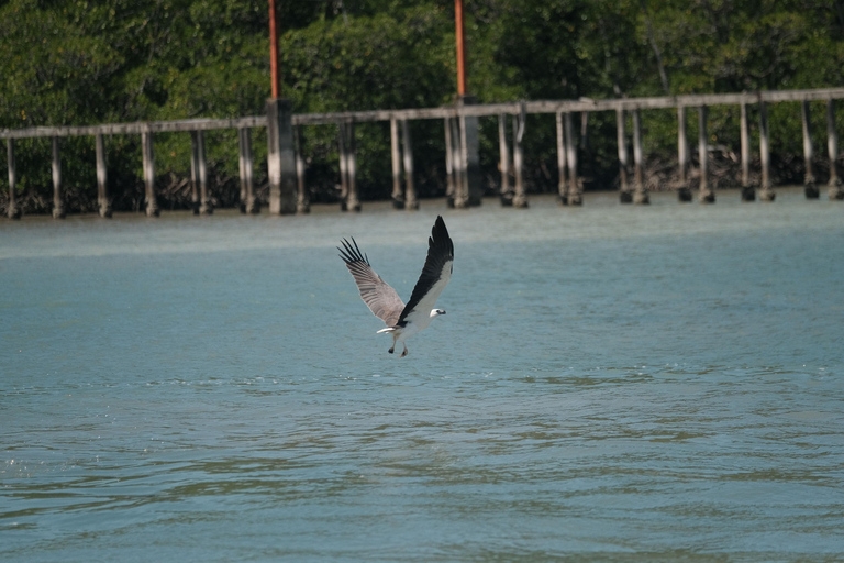 Visite privative de 4 heures en jet ski suralimenté à Langkawi + DroneVisite privative de Langkawi en jetski surpuissant de 4 heures + drone