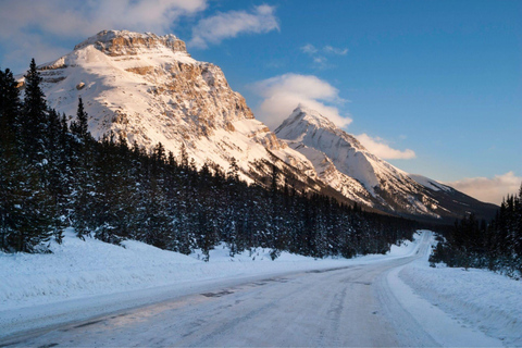 Champ de glace : glacier Crowfoot, lac Bow-Peyto et canyon Marble