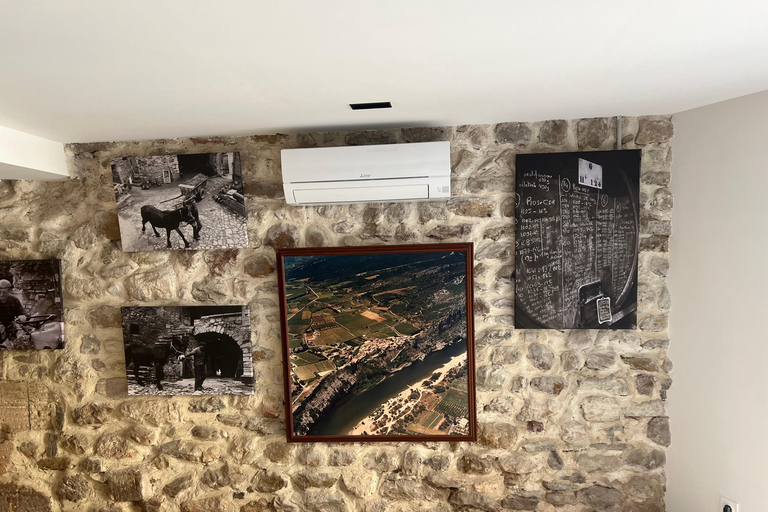 Aiguèze: Wine Tasting with Cold Cuts Platter Domaine Tour Paradis : Wine Tasting in Aiguèze