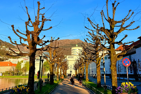 Private Walking Tour- Bergen Classics