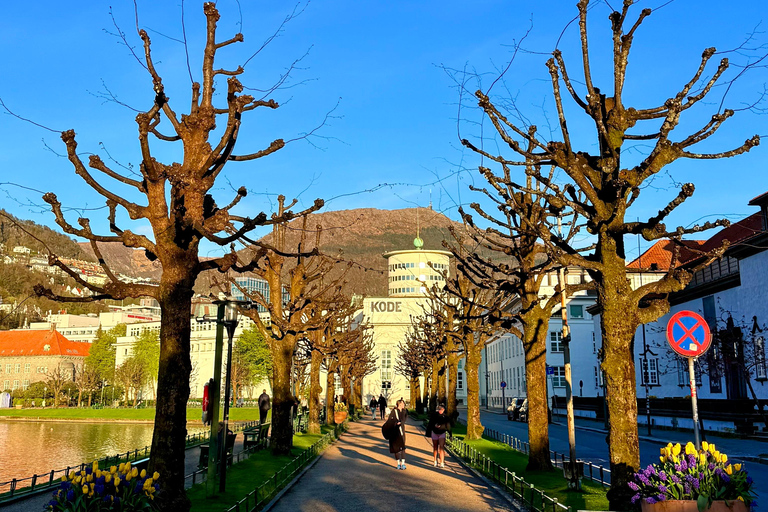 Private Walking Tour- Bergen Classics