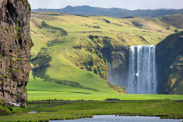 Reykjavik : Côte sud et chutes d&#039;eau cachées