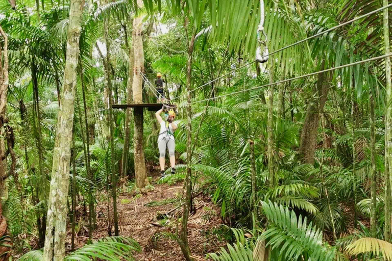 Panamá: Excursión en Tirolina por la Isla de los Monos y la Selva Tropical de Gamboa