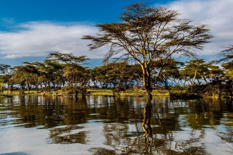 5 Days Magical Kenya Lodge Safari Kenya Wildlife Safari