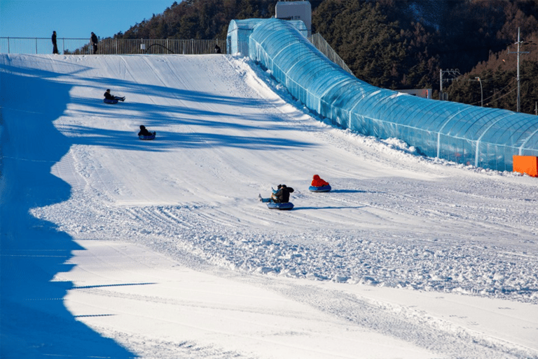 Uit Seoel: Pyeongchang ForelfestivalGroepstour, verzamelen bij Hongik University Station