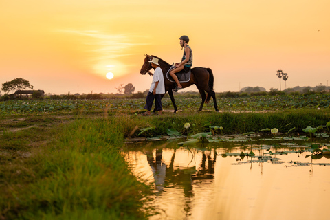 Siem Reap: Horseback Ride with Tour Guide at Phnom Krom (1 hour) Horseback Ride with Tour Guide