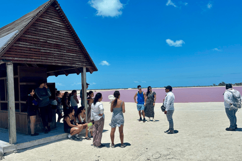 From Merida: Las Coloradas, Rio Lagartos & Beach Tour Desde Mérida: Tour Las Coloradas, Rio Lagartos y Playa