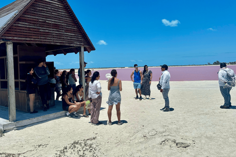 From Merida: Las Coloradas, Rio Lagartos & Beach Tour Desde Mérida: Tour Las Coloradas, Rio Lagartos y Playa