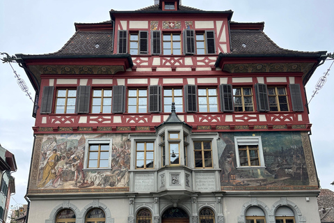 From Zurich: Private Tour to Rheinfalls and Stein am Rhein