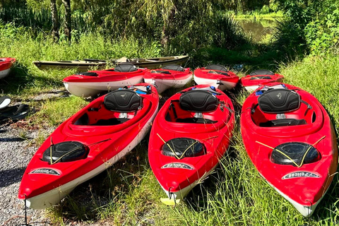 Atchafalaya Basin: 2,5 Std. Geführte Kajaktour