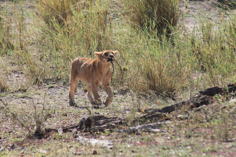 Day trip: Zanzibar to Selous/ Nyerere National Park