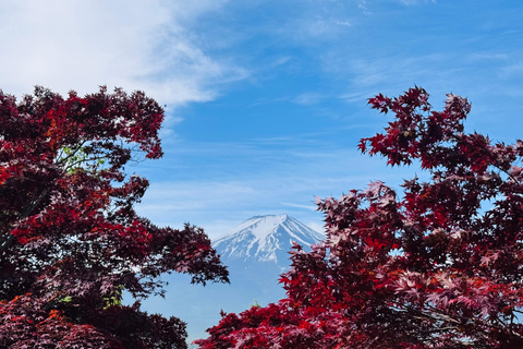 Tokyo: Private Daytrip to Mount Fuji - Fully Customizable Mt Fuji Private Luxury Van Tour (Customizable Experience)