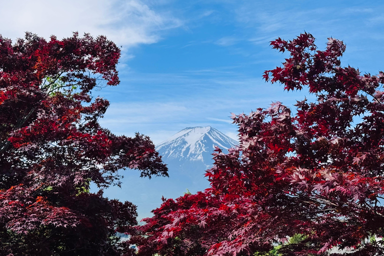 Tokyo: Private Daytrip to Mount Fuji - Fully Customizable Mt Fuji Private Luxury Van Tour (Customizable Experience)