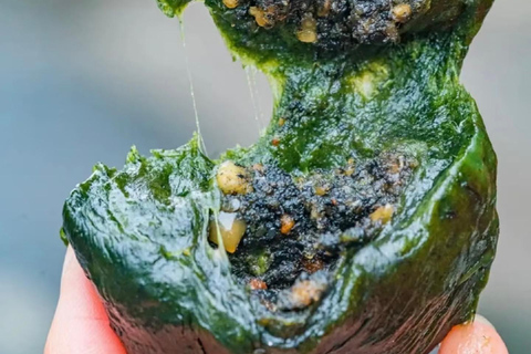 Rural Guilin Tour: Mugwort Rice Ball from Farm to Table Guide for other languages