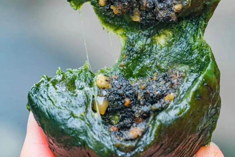 Rural Guilin Tour: Mugwort Rice Ball from Farm to Table Guide for other languages