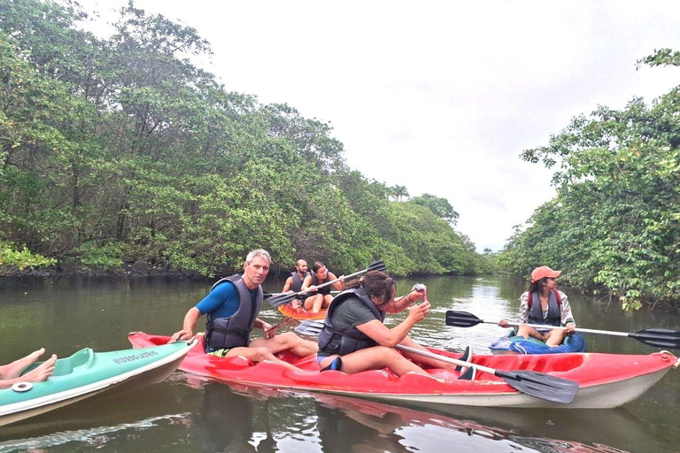 Paraty: Mangrove Kayak Tour with Capybara sightings