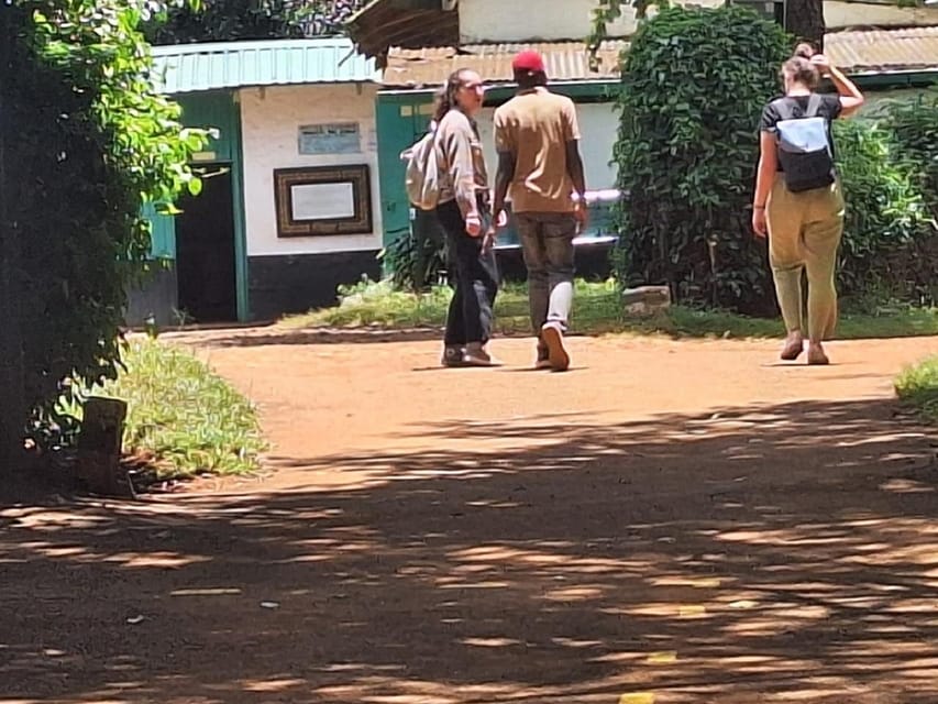 Nairobi: Fairview Coffee Estate Tour with Transfers | GetYourGuide