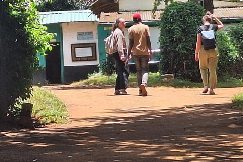 Nairobi: Excursión a la finca cafetera de Fairview con traslados