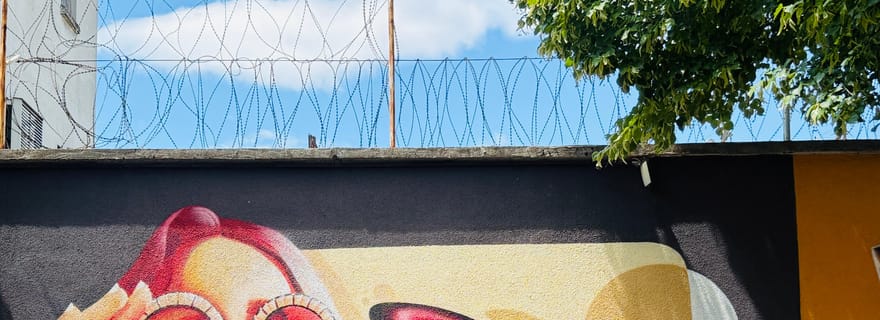 Visite guidée du street art et du graffiti à Mostar