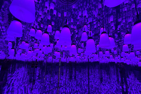 Hanoi: X Space Immersive Digital Art Experience Entry Ticket
