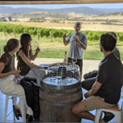 Hobart: Coal River Valley Wine Tour with Tastings