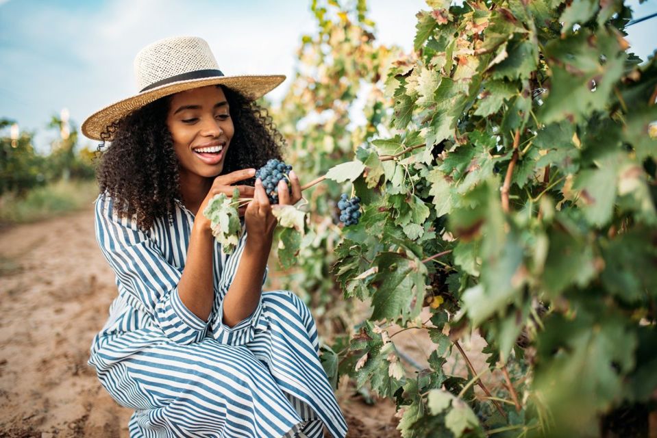 Негритянка ест. Фотосессия в винограднике девушки. Африканский урожай фотопортрет. Виноград с улыбкой. Негритянка кушает.
