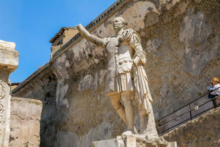 Rome: Vesuvius, Pompeii or Herculaneum by High-speed Train Pompeii Spanish Guided Tour & Vesuvio Entry ticket