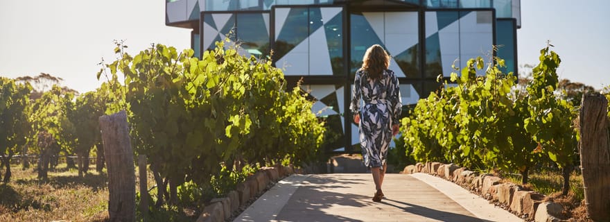 Adélaïde : visite premium en minibus de la vallée de McLaren