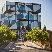 McLaren Vale Wine and Brew Small Group Premium Tour