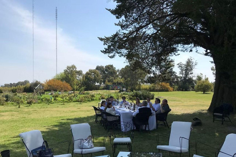 Colonia del Sacramento: Afternoon Tea at a Vineyard