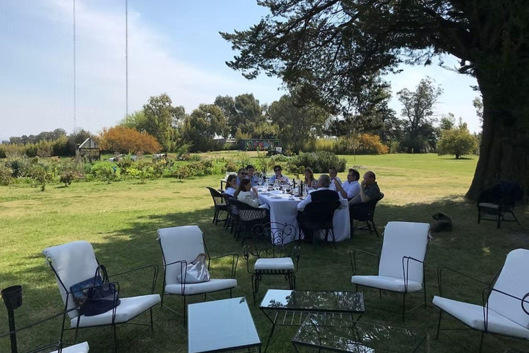Colonia del Sacramento: Afternoon Tea at a Vineyard