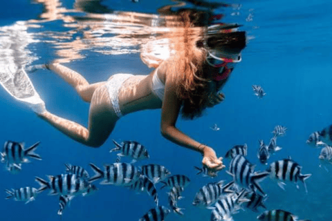 Zanzibar: Private Snorkeling Tour At Mnemba Island