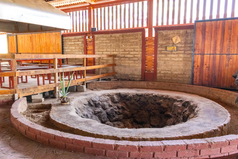 Oaxaca: Sustainable Mezcal Tour at an Award-Winning Family Distillery