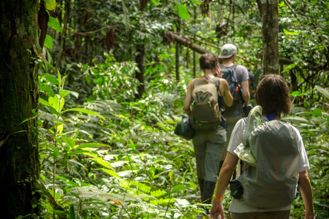 Volledige jungle ervaring