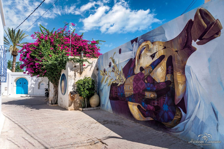 Djerbahood Made Easy: 2 Hours to Stroll Around - Shuttle Included Djerbahood Made Easy: 2 Hours to Stroll - Shuttle Included