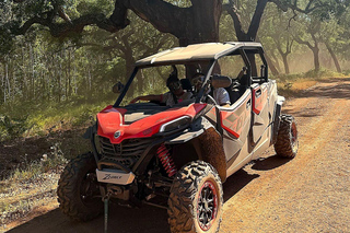 Alentejo: Secret Alentejo Guided Buggy Tour
