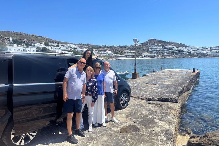 Visite de 4 heures à Mykonos en espagnol4 heures de visite de Mykonos en anglais