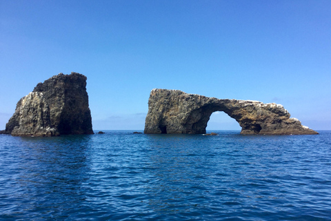 From Orange County: Channel Islands Private Day Tour