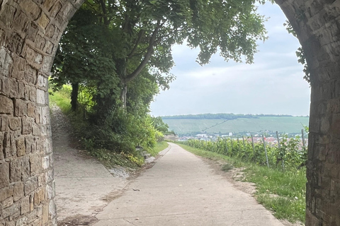 Between vineyards and a royal residence – enjoy Würzburg's wines with a view Between vineyards and royal residence – wine enjoyment in Würzburg with a view