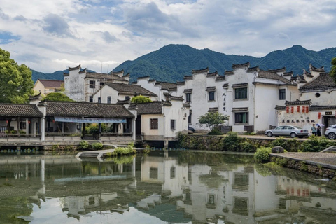 Shanghai: Fuyang Bayberry Picking & Ancient Town Day Trip