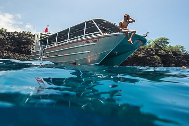 Hawaii: Kealakekua-Bucht, Captain Cook und Meeresbewohner