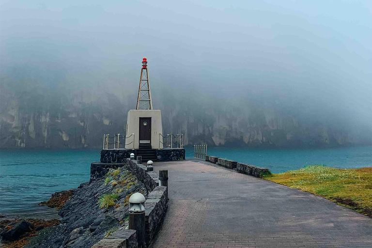 From Reykjavik: Puffin and Volcano Tour in Westman Islands