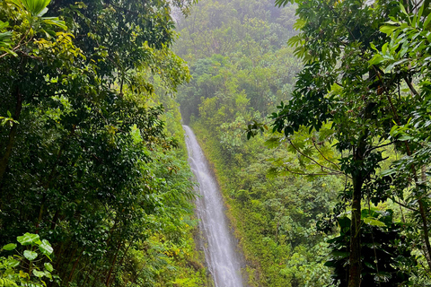 Oahu: Wycieczka prywatna Waikiki - Pełny krąg wysp - Możliwość dostosowania