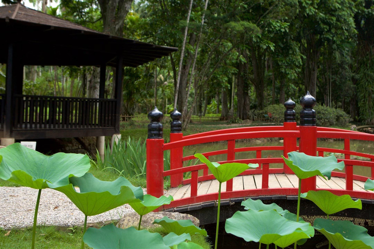 Rio de Janeiro: Tijuca National Park & Botanic Garden Tour