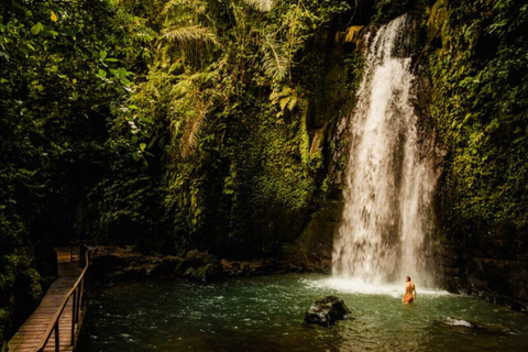 Ubud: Monkey Forest, Pura, Rice Terraces, Hidden Waterfall Ubud : Private Tour With Ticket