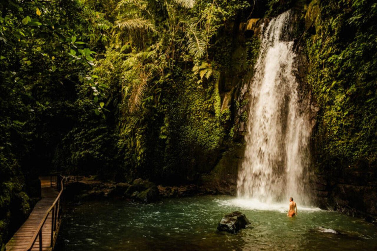 Ubud: Monkey Forest, Pura, Rice Terraces, Hidden Waterfall Ubud : Private Tour With Ticket