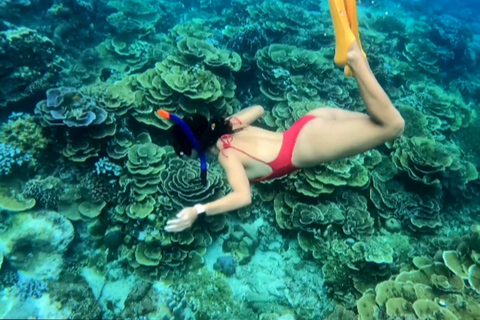 Dall&#039;isola di Gili Air : Snorkeling di gruppo/pubblico 3 Gilis