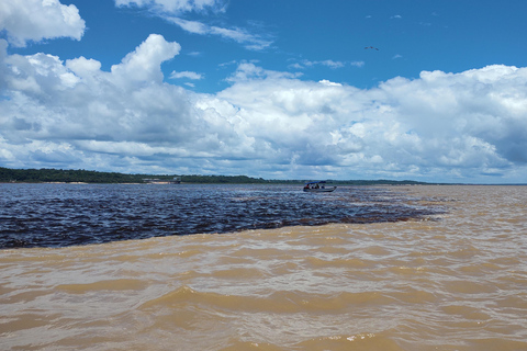 Manaus: City Tour with Meeting of the Waters Boat Trip